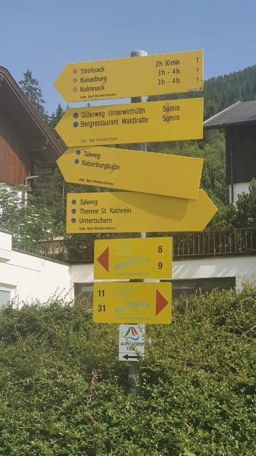 Deluxe Panorama Apartment-Maibrunn-Alm Bad Kleinkirchheim Eksteriør billede