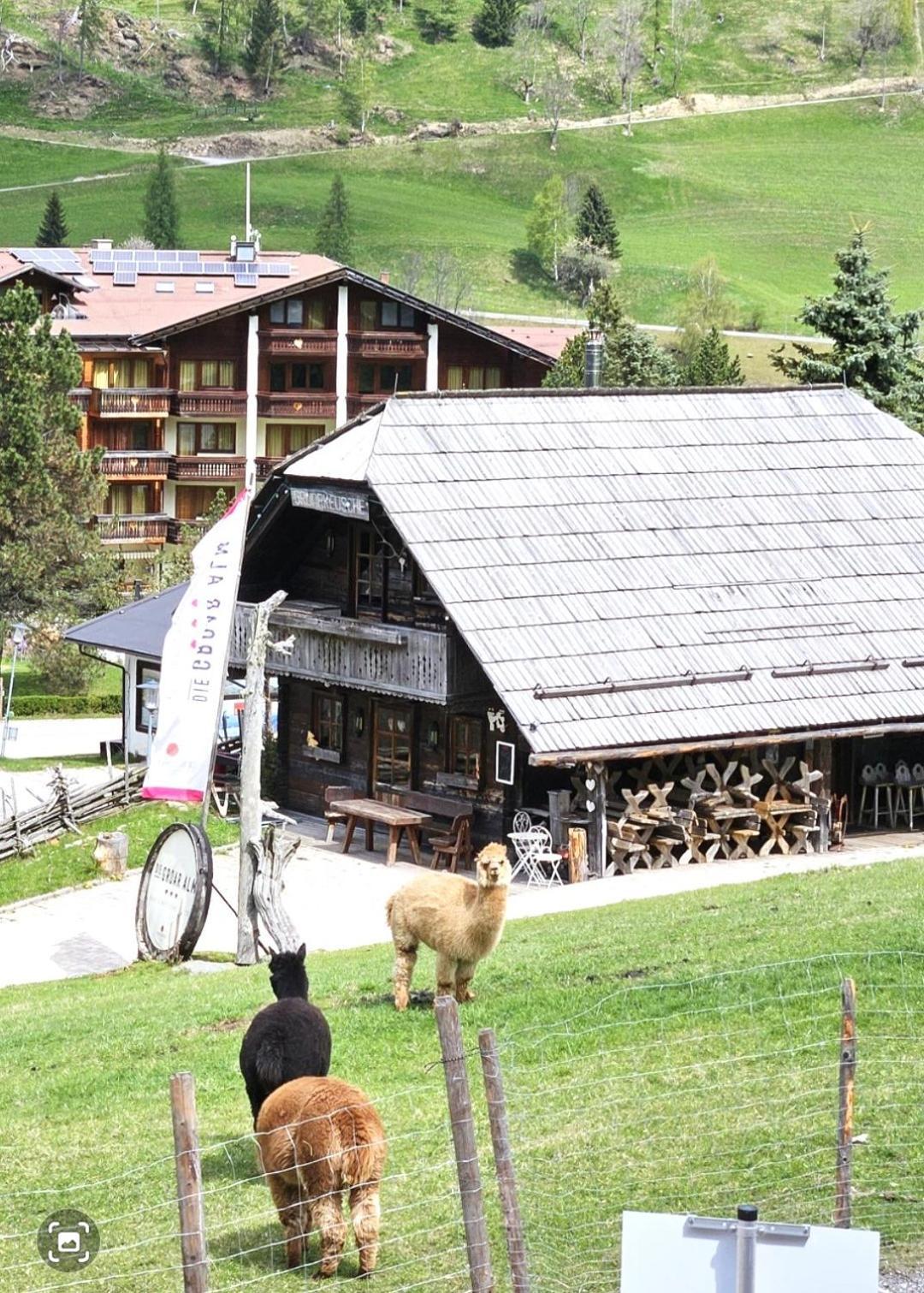 Deluxe Panorama Apartment-Maibrunn-Alm Bad Kleinkirchheim Eksteriør billede